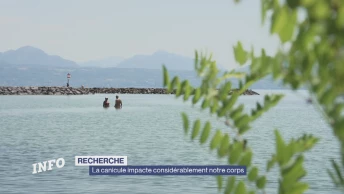 Recherche: la canicule impacte assidûment notre corps