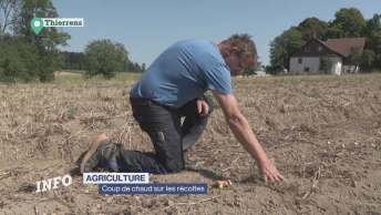 Agriculture: coup de chaud sur les récoltes