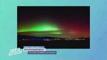 Aurores boréales à profusion