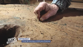 Coup de scie dans 4'300 ans d'histoire