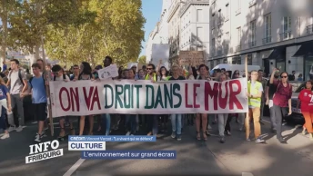 L'environnement sur grand écran