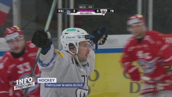 Hockey: retrourvez le sens du but