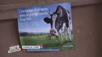 Un plan d'action pour la filière du lait