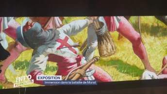 Immersion dans la bataille de Morat