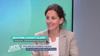 142, nouvelle ligne d'urgence pour les violences domestiques