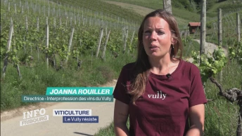 Le Vully résiste