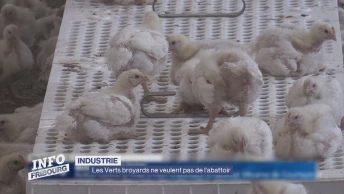 Les Verts broyards ne veulent pas de l'abattoir