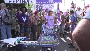 Plusieurs collectifs, un même combat