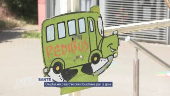 Santé: De plus en plus d'écoles touchés par la gale