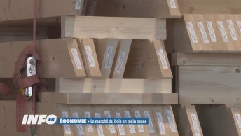 Un marché du bois qui pousse