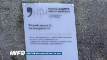 Justice: condamné à 12 ans, il fait appel