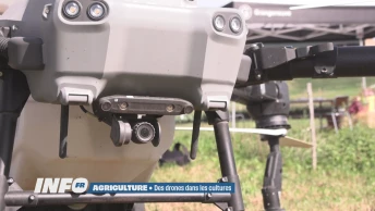 Des drones dans les cultures
