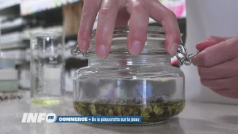 De la pâquerette dans les rayons