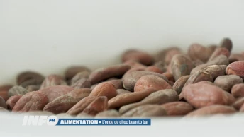 Le succès du chocolat "bean to bar"