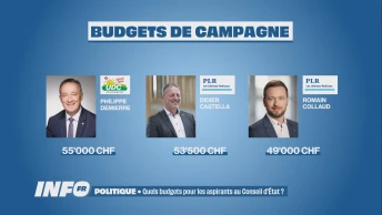 Quels budgets pour les aspirants au Conseil d'État ?