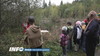 Des classes primaires en forêt