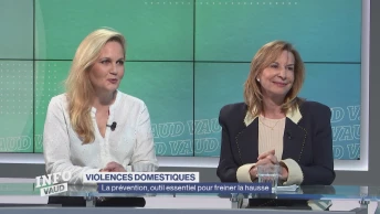 Violences domestiques, la prévention pour freiner la hausse
