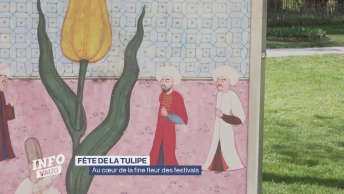 Au cœur de la Fête de la Tulipe