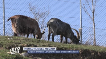 Le parc animalier La Garenne sous pression financière