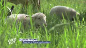 Un festival pour repenser le "Champ" des Possibles