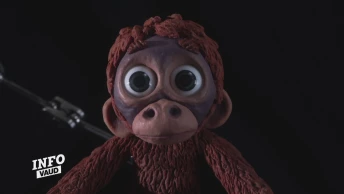 "Coup de Projo" sur Antonin Niclass