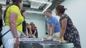 Des propriétaires d'animaux formés aux premiers secours