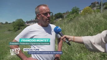 Vitticulture: quand l'offre supplante la demande
