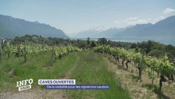 Les Caves Ouvertes offrent de la visibilité aux vignerons