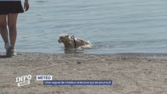 Une vague de chaleur précoce qui se poursuit