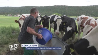 Toujours moins d'exploitations agricoles dans le canton