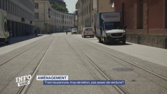 Tram lausannois: trop de béton, pas assez de verdure?