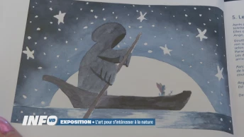 L'art pour s'intéresser à la nature