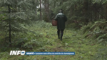 Lausanne sans office de contrôle de champignons