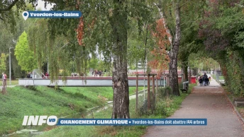 Yverdon-les-Bains doit abattre 144 arbres