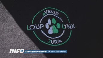 Les tirs de loups divisent
