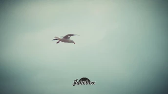 Imiter la frégate de Morgoran