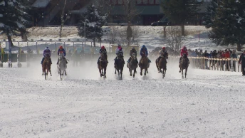 White Turf St.Moritz 2026 - Courses du 8 février 2026