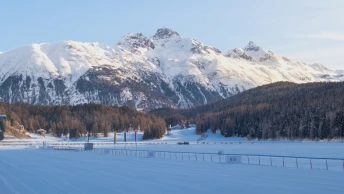 White Turf St.Moritz - Courses du 22 février 2026