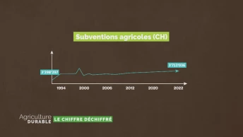 Le chiffre déchiffré - Les subventions agricoles