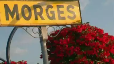 Autour d&#039;un nom - Morges