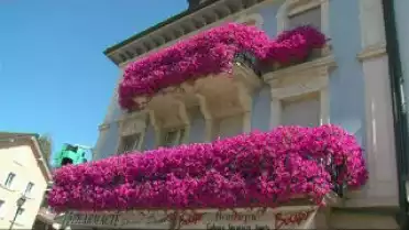 Autour d&#039;un nom - Châtel-St-Denis