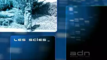 Autour d&#039;un nom - Matran