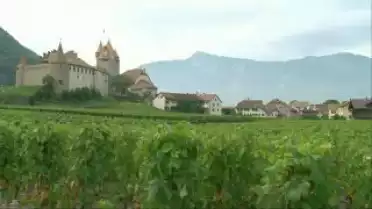 Autour d&#039;un nom - Aigle