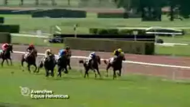 C&#039;est arrivé près de chez vous - Equus Helveticus 2009