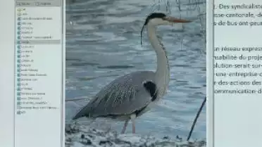 Les Nouvelles FR du 07.10.09