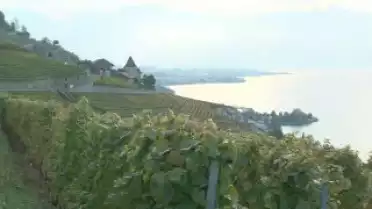 Les Nouvelles FR du 20.10.09