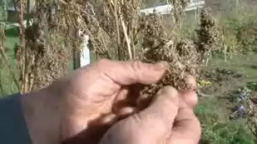 Les Nouvelles FR du 26.10.09