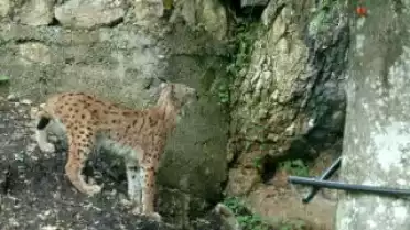 Les Nouvelles VD du 06.10.09