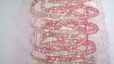 Les Nouvelles VD du 10.11.09