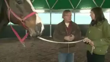 Les Nouvelles VD du 16.11.09